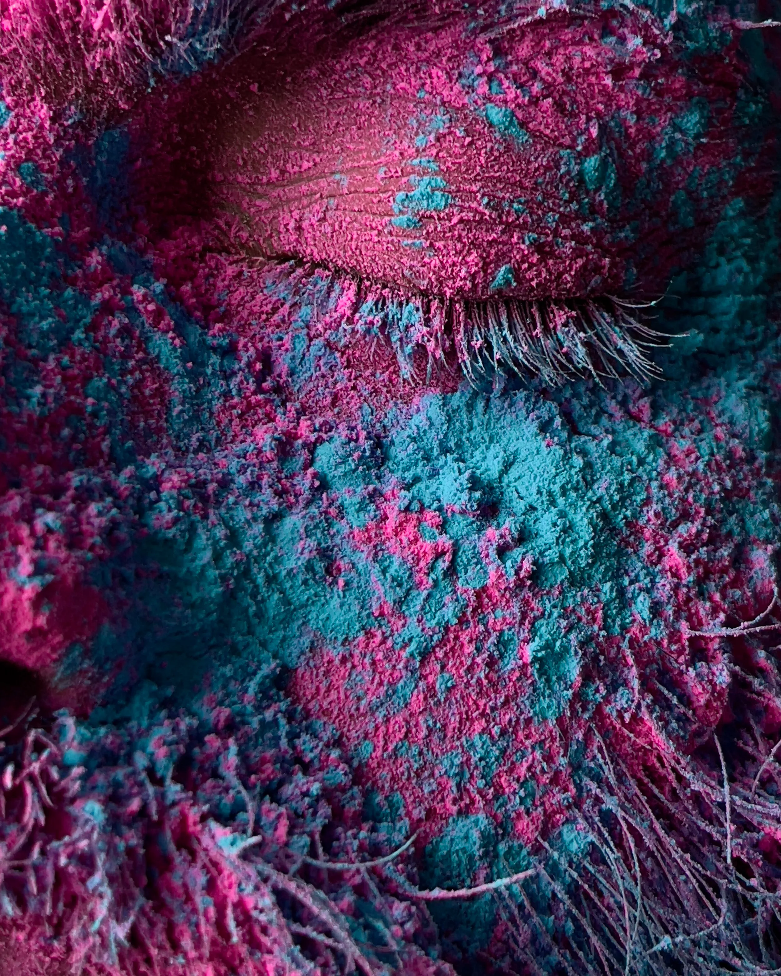 @apple Holi carousel, image one — portrait covered in Holi colours by Dhruvin Shah