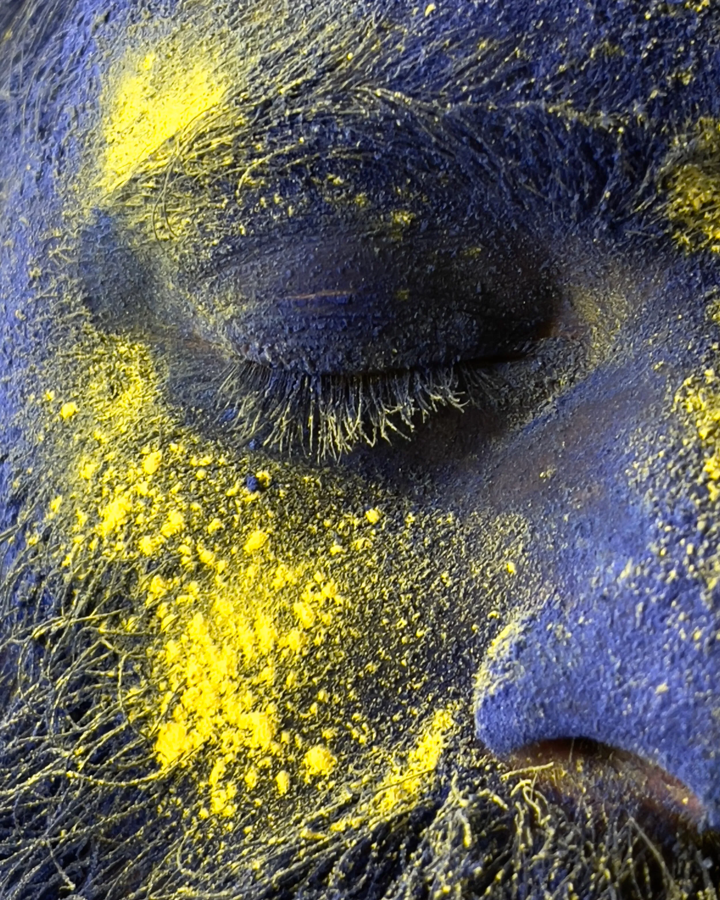 @apple Holi carousel, image eight — the rich palette of Holi in one frame