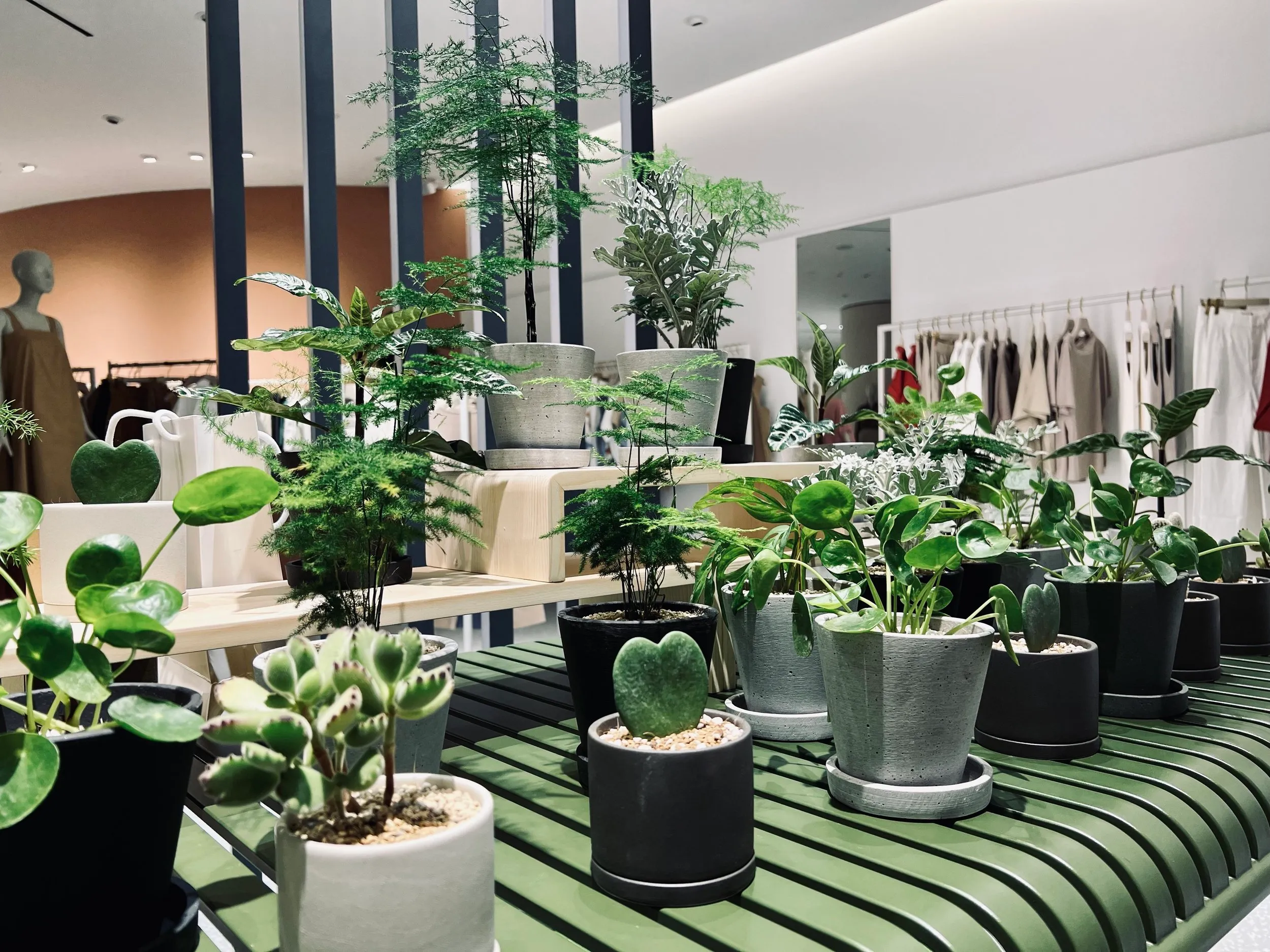 Earth Day UBPTR x Sans & Sans collab pop-up — plants and crowd