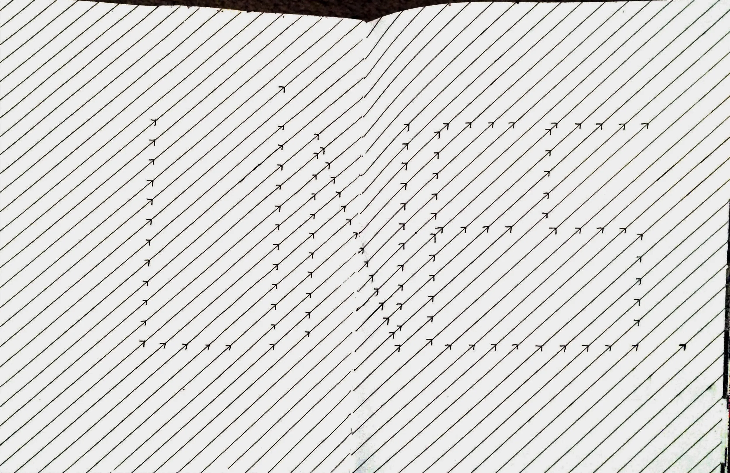Lines