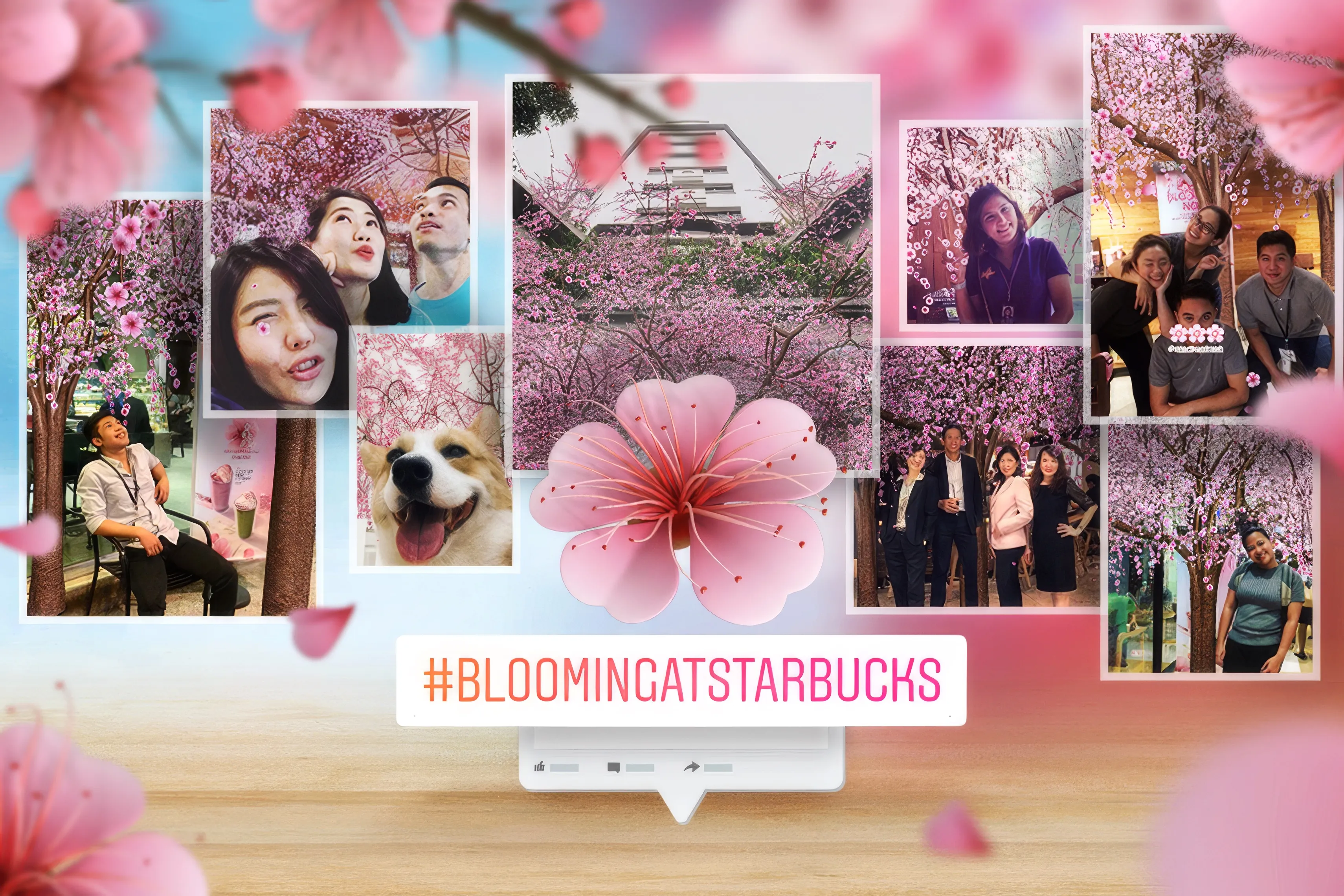 Starbucks Cherry Blossom AR key visual, sakura-themed merchandise and drinks